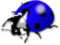Bugs